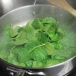 Spinach