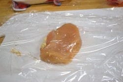 Chicken Layer with plastic wrap