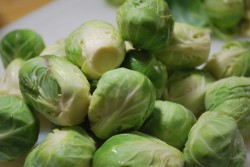 Peel the out layer Peel the outer layer off and rise the sprouts again.