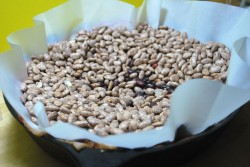 Fill with the beans Fill with the beans