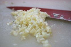 Garlic