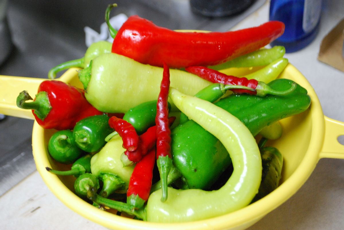 Pickled Hot Peppers SavoryReviews