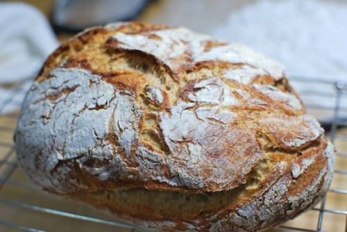 Whole Wheat No-Knead Bread