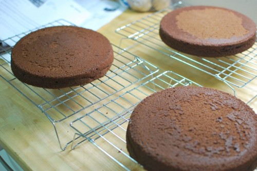 Cool the cakes completely Cool the cakes completely