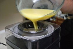 Add the mixture to the ice cream maker
