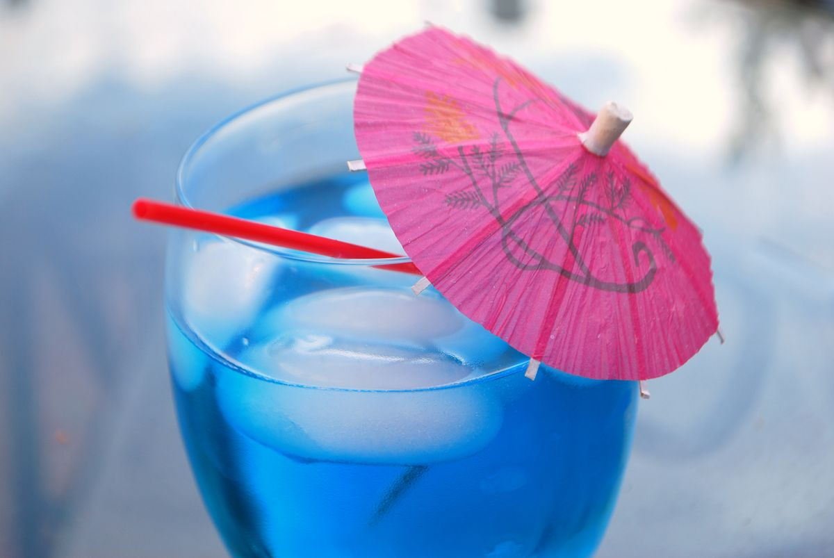 The Fish Bowl SavoryReviews