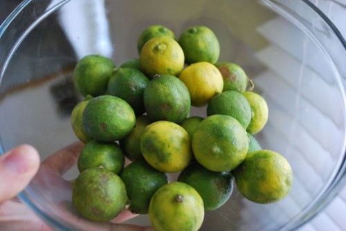 Key Limes Key Limes