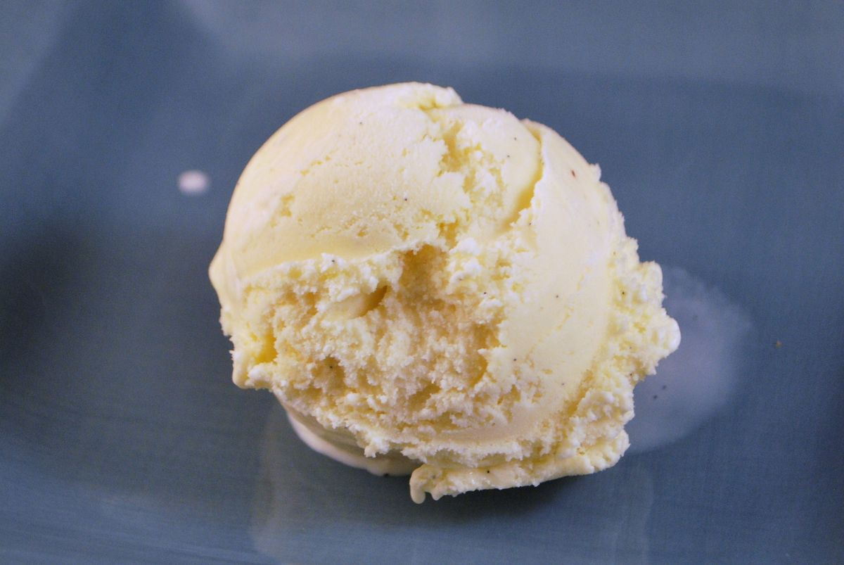 Vanilla Bean Ice Cream SavoryReviews