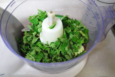The Herbs