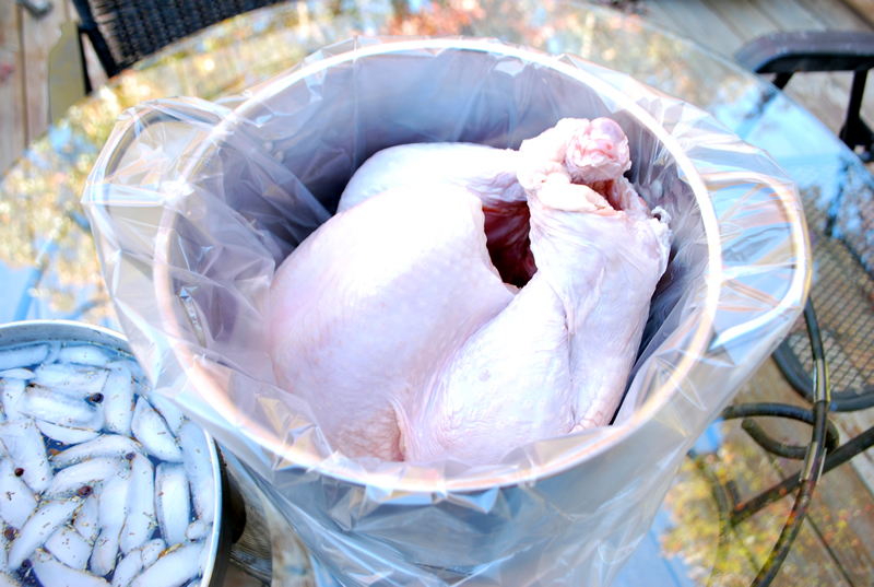 How to Brine a Turkey SavoryReviews