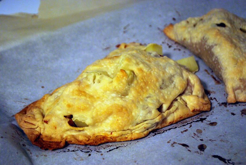 Thanksgiving (Pasty) Hand Pie SavoryReviews