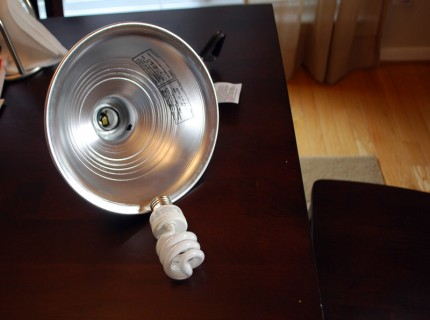 Clamp Light and 5500k Florescent Lamp Clamp Light and 5500k Florescent Lamp