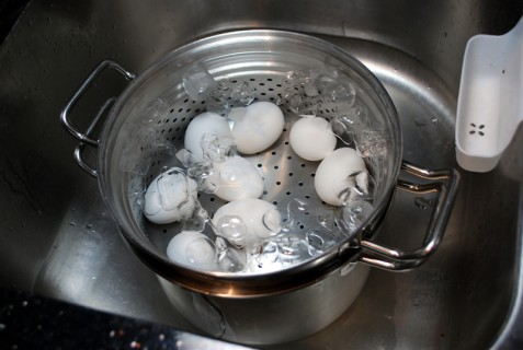 Ice Bath Ice Bath