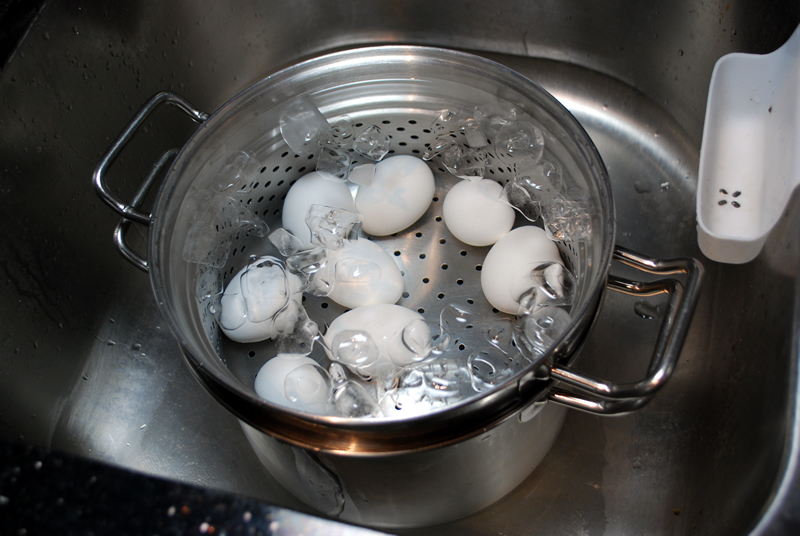 The Perfect Hard Boiled Egg SavoryReviews