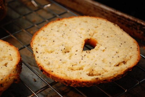 The Perfectly thawed bagel The Perfectly thawed bagel